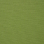 ginkgo_ebay