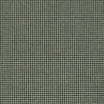 lore-moss_48146-0003