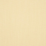parchment_ebay