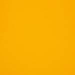sunflower_ebay_1282489324