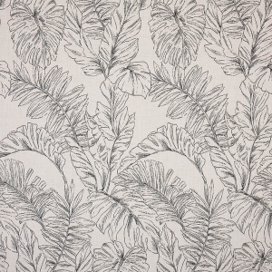 calm-graphite_145854-0001
