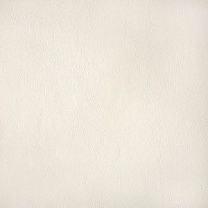 capriccio-cloud_10200-0002