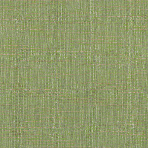 cassava-spring_44496-0006