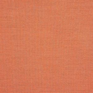 cast-coral_48108-0000