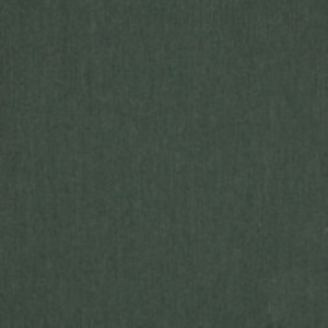 cast_ivy_48141-0000