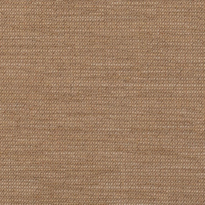 charmer-desert_42111-0005
