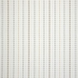 esti-limestone_44349-0027