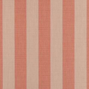 expressive-blush_14123-0000