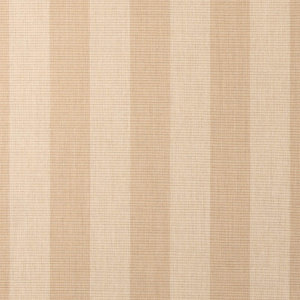 expressive-sparrow_14121-0000