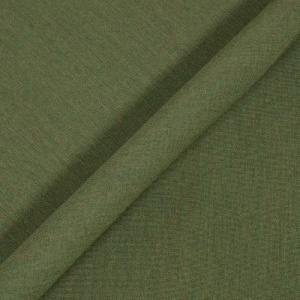 fern_3_ebay