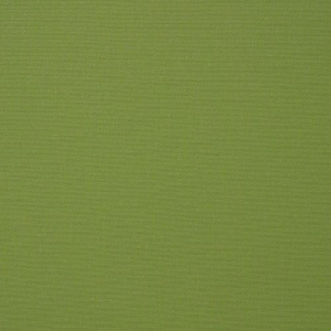 ginkgo_ebay