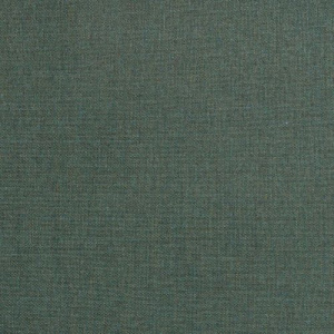 jungle_ebay