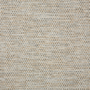 mainstreet-dove_42048-0015