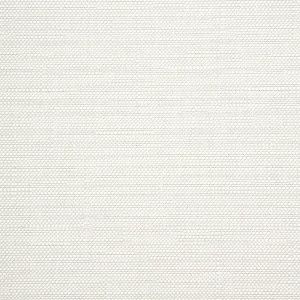 piazza-cloud_305423-0002