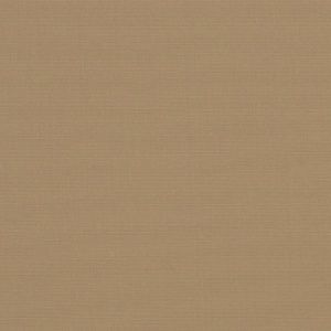 Beige4620-0000.jpg