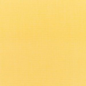 Canvas-Buttercup_5438-0000.jpg