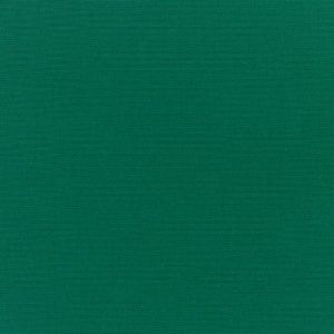 Canvas-Forest-Green_5446-0000.jpg