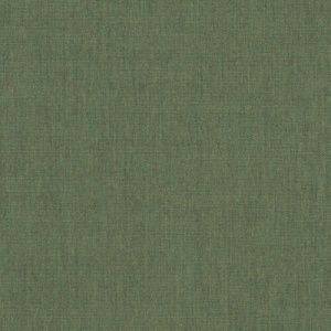 Fern_4671-0000.jpg