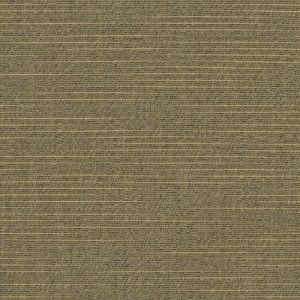 Silica-Sesame_4860-0000.jpg