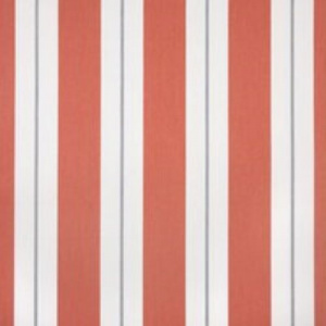 relate_persimmon_57017-0003