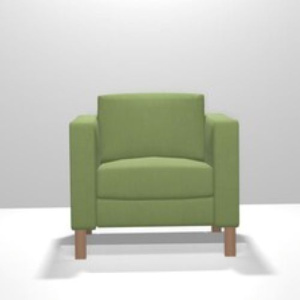 spectrum_cilantro_1_ebay