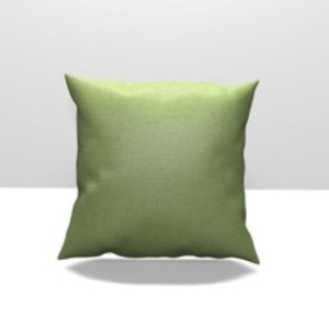 spectrum_cilantro_2_ebay