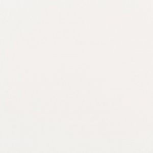 stamoid_top_white_f3933_742100