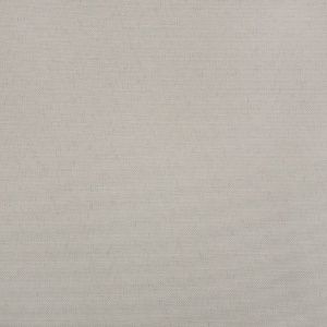 sur_last_lt_gray_3862