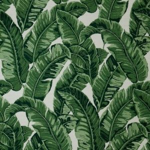 tropics_jungle_145214-0000