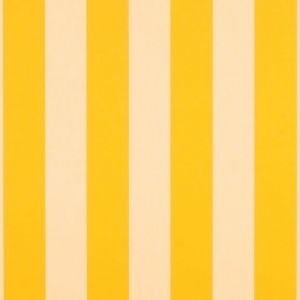 yellow-white-6-bar_5702-0000